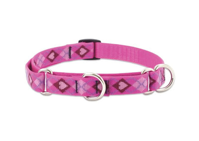 LupinePet Originals 3/4" Puppy Love 14-20" Martingale Collar for Medium and Larger Dogs