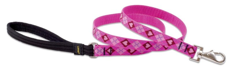 LupinePet Originals 3/4" Puppy Love 6-Foot Padded Handle Leash for Medium and Larger Dogs