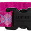 Lupine Dog Collar
