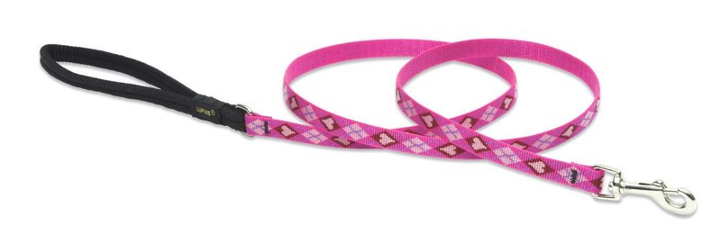 LupinePet Originals 1/2" Puppy Love 6-foot Padded Handle Leash for Small Pets