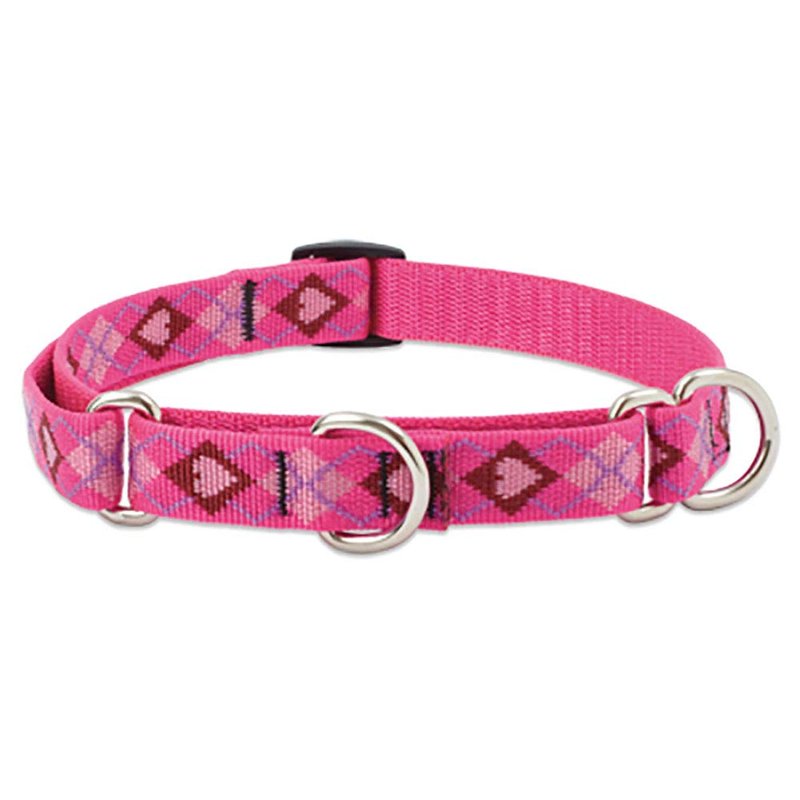 LupinePet Originals 1" Puppy Love 15-22" Martingale Collar for Medium and Larger Dogs