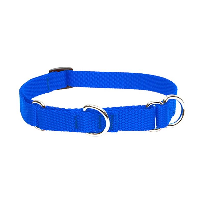 LupinePet Basics 3/4" Blue 14-20" Martingale Collar for Medium and Larger Dogs