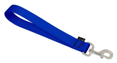 Training Tab by Lupine in 1" Wide Blue for Medium and Larger Dogs