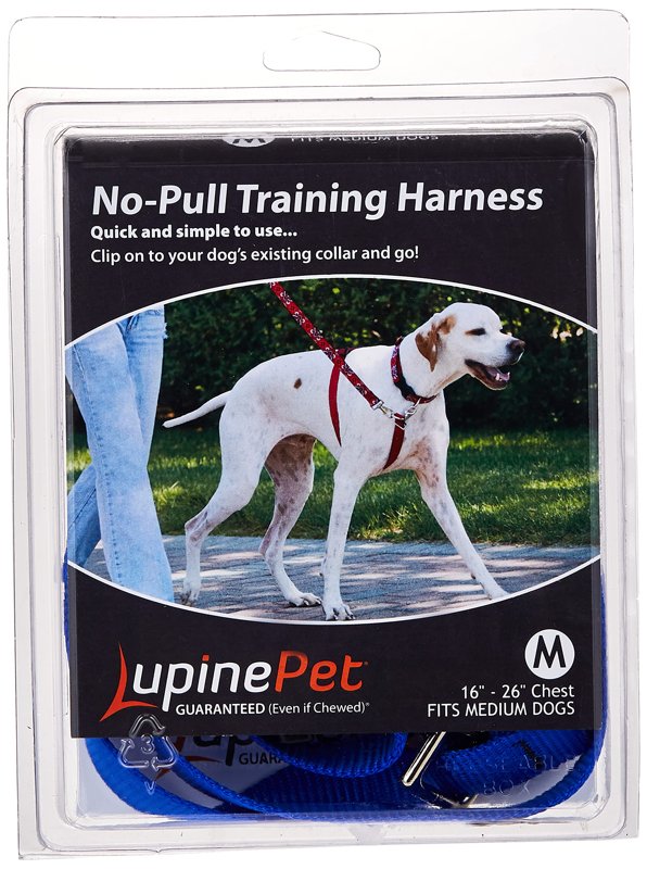 LupinePet Basics 3/4" Blue 16-26" No Pull Harness for Small-Medium Dogs