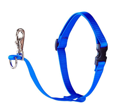 LupinePet Basics 1" Blue 26-38" No Pull Harness for Medium-Larger Dogs