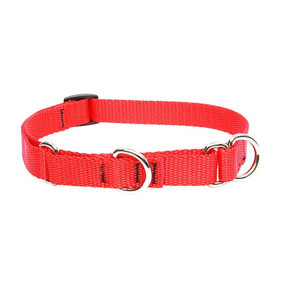 LupinePet Basics 3/4" Red 14-20" Martingale Collar for Medium and Larger Dogs