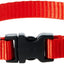 Lupine Dog Collar (classic)