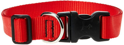 LupinePet Basics 1" Red 16-28" Adjustable Collar for Large Dogs