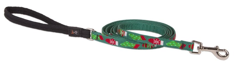 LupinePet Originals 1/2" Stocking Stuffer 6-foot Padded Handle Leash for Small Pets