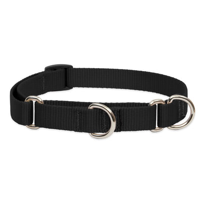 LupinePet Basics 3/4" Black 10-14" Martingale Collar for Small Dogs