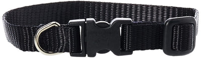 LupinePet Basics 1/2" Black 8-12" Adjustable Collar for Small Dogs