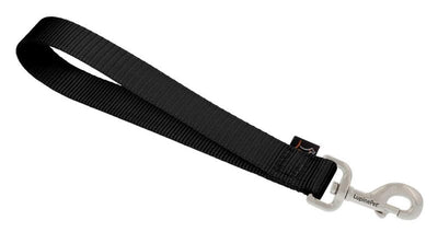 Training Tab by Lupine in 1" Wide Black for Medium and Larger Dogs