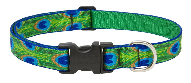 Lupinepet Originals 1" Tail Feathers 16-28" Adjustable Collar For Large Dogs