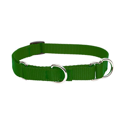 LupinePet Basics 3/4" Green 14-20" Martingale Collar for Medium and Larger Dogs