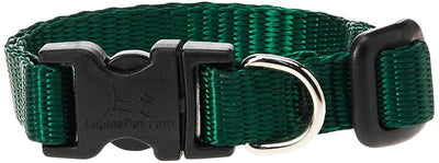 LupinePet Basics 1/2" Green 8-12" Adjustable Collar for Small Dogs