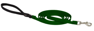 LupinePet Basics 1/2" Green 6-foot Padded Handle Leash for Small Pets