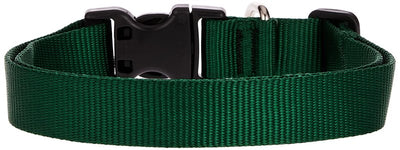 LupinePet Basics 1" Green 16-28" Adjustable Collar for Large Dogs