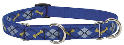 LupinePet Originals 3/4" Dapper Dog 14-20" Martingale Collar for Medium and Larger Dogs