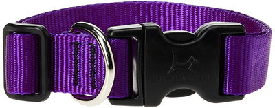 LupinePet Basics 3/4" Purple 13-22" Adjustable Collar for Medium and Larger Dogs