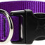 Lupine Dog Collar (classic)