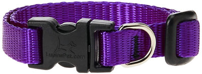 LupinePet Basics 1/2" Purple 8-12" Adjustable Collar for Small Dogs