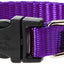 Lupine Dog Collar (classic)