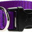 Lupine Dog Collar (classic)