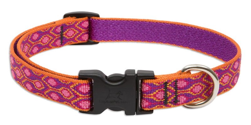 LupinePet Originals 3/4" Alpen Glow 13-22" Adjustable Collar for Medium and Larger Dogs