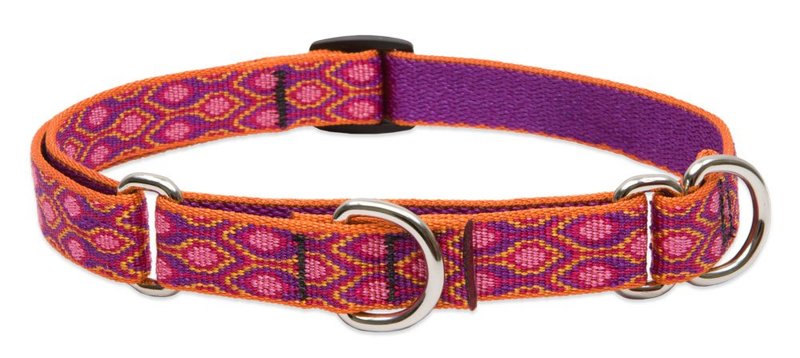 LupinePet Originals 3/4" Alpen Glow 10-14" Martingale Collar for Small Dogs