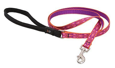 LupinePet Originals 1/2" Alpen Glow 6-foot Padded Handle Leash for Small Pets