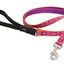 Lupine Leashes