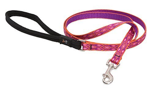 Lupine Leashes