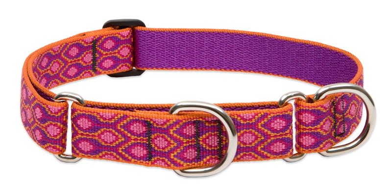 LupinePet Originals 1" Alpen Glow 15-22" Martingale Collar for Medium and Larger Dogs