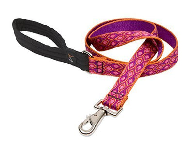 LupinePet Originals 1" Alpen Glow 6-Foot Padded Handle Leash for Medium and Larger Dogs