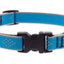 Lupine Dog Collar
