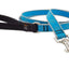 Lupine Leashes