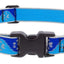 Lupine Dog Collar