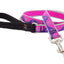 Lupine Leashes