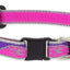 Lupine Cat Collar