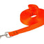 Lupine Training Leash