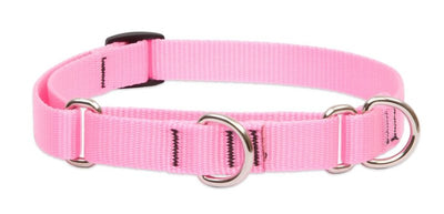 LupinePet Basics 3/4" Pink 14-20" Martingale Collar for Medium and Larger Dogs