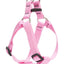Lupine Step - In Harness