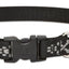 Lupine Dog Collar