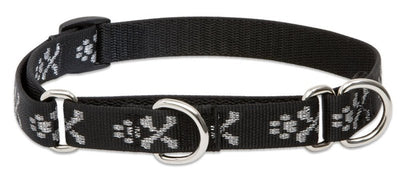 LupinePet Originals 3/4" Bling Bonz 14-20" Martingale Collar for Medium and Larger Dogs