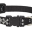 Lupine Dog Collar