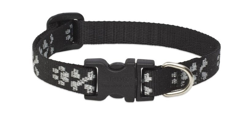 Lupine Dog Collar