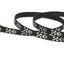Lupine Leashes
