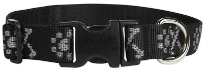 LupinePet Originals 1" Bling Bonz 16-28" Adjustable Collar for Large Dogs