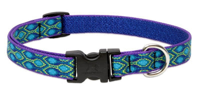 LupinePet Originals 3/4" Rain Song 13-22" Adjustable Collar for Medium and Larger Dogs