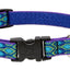 Lupine Dog Collar